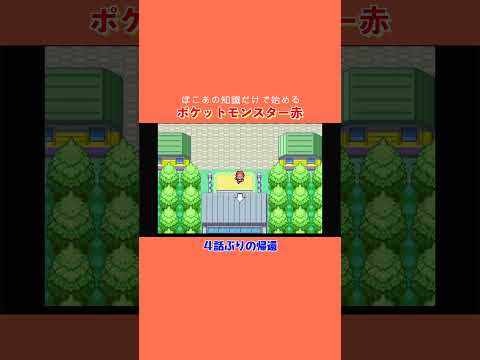 クチバのジムほったらかしw〜ぽこあの知識だけで始めるポケモン⑮ #ポケモン #ぽこあ #ぽこあポケモン