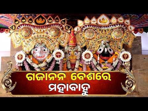 ଶ୍ରୀବାଣୀ ଶ୍ରୀକ୍ଷେତ୍ରରେ ମହାପ୍ରଭୁଙ୍କ ଗଜାନନ ବେଶ  || Knews Odisha