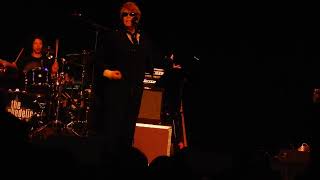 THE PSYCHEDELIC FURS: Wrong Train