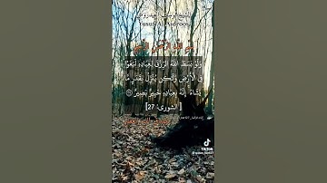 تلاوه القران الكريم♥️😔 تبارك الرحمن