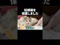 情緒不安定な妊婦猫