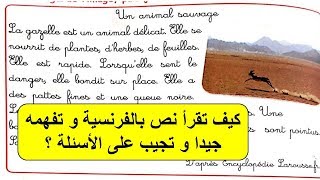 Lecture, le cahier d'activité page 8-9 | كيف تقرأ نص بالفرنسية و تفهمه جيدا و تجيب على الأسئلة ؟