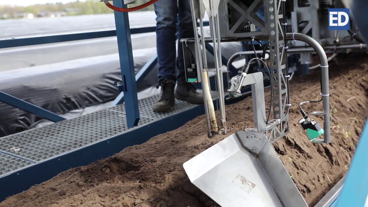 Robot haalt betere asperges van het veld