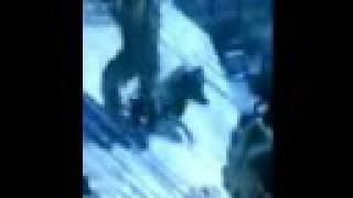 Call of Duty 4 crazy dance