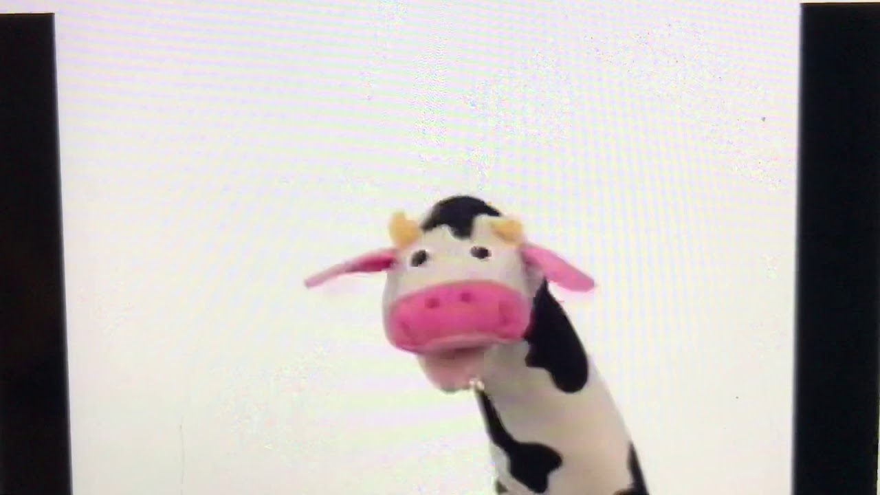 cow puppet baby einstein