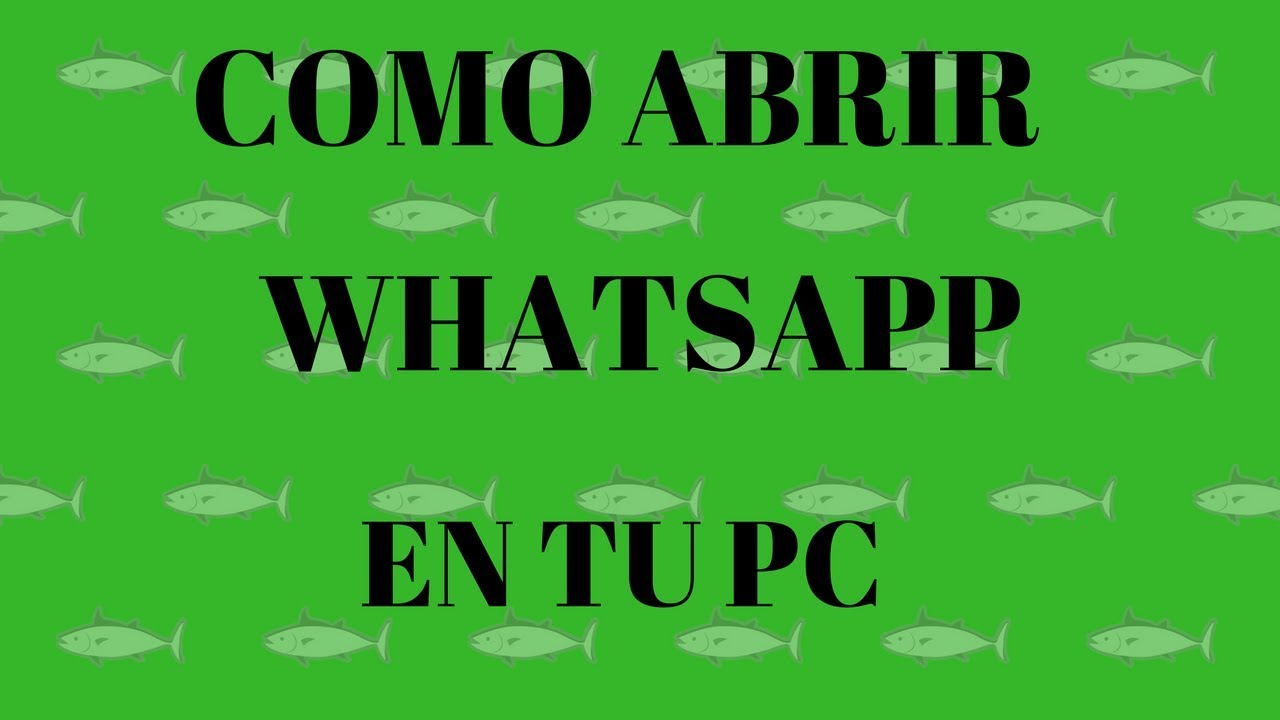 abrir whatsapp