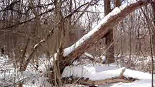 Bushcraft Project Knife Giveaway Bushcraft Project Knife Giveaway