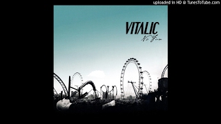 Vitalic - No Fun (Joachim Garraud Remix) (cut from ZeMixx Live)