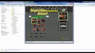 WWF Showdown 64 Issue