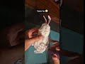POV: making the Easter bunny at home 🐰✨  #3ddrawing #3dpen #diy #beginner3dpen