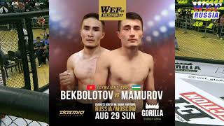 WEF 97 || Аброр Мамуров vs Умар Бекболотов