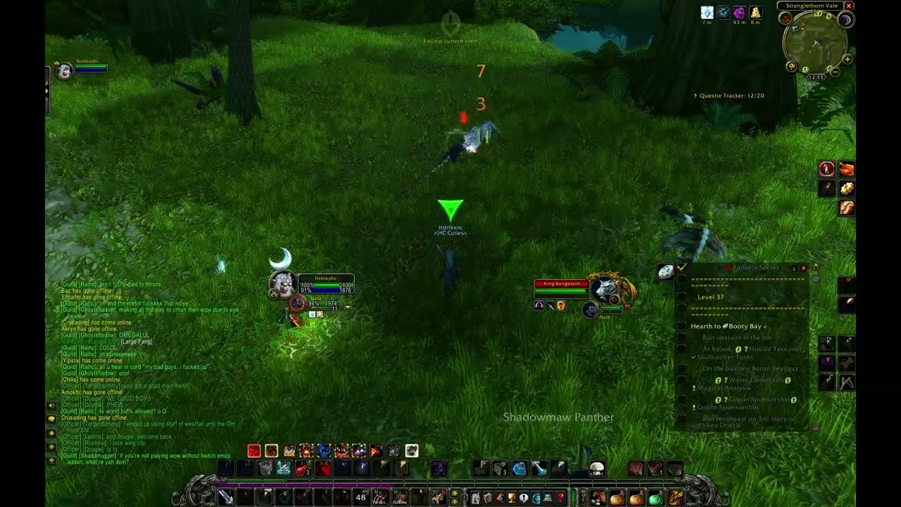 WoW classic HC german Duo King Bangalash Hunter Priest level 38