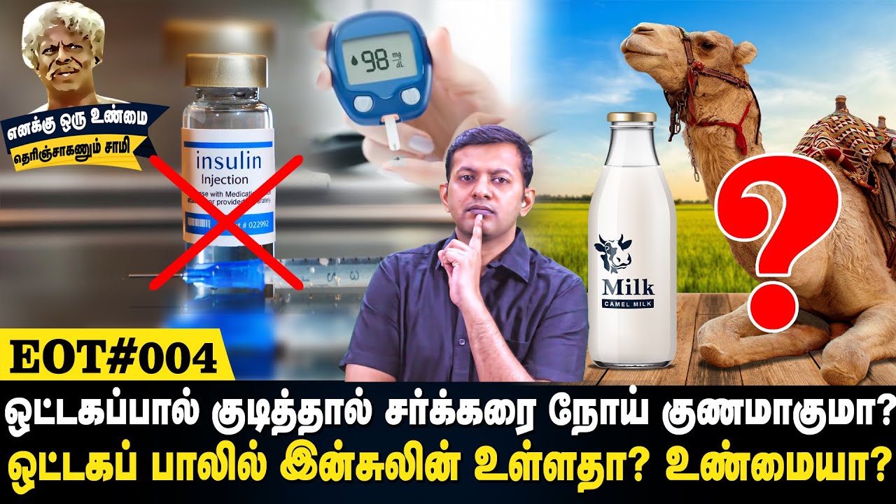 Will camel milk cure diabetes? Does camel milk contain insulin? eot