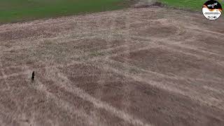 LIEBRES Y GALGOS CYL  TEMPORADA 25 26     21