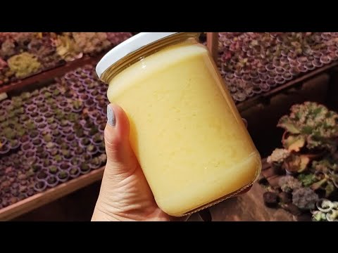 Manteiga de Pote manteiga Ghee preparo desde a matéria prima Preparando ...
