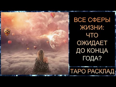 ВСЕ СФЕРЫ ЖИЗНИ: