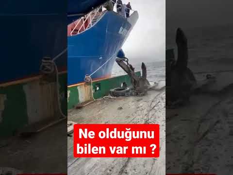 Video: 2022'nin Yalnız Seyahat Edenler İçin En İyi 8 Gemi Gezisi