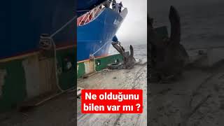 Çapa denize düştü 😱 #shorts #video #deniz #gemi #kaptaan #kaptanamerika #capa #demirdenizde Resimi