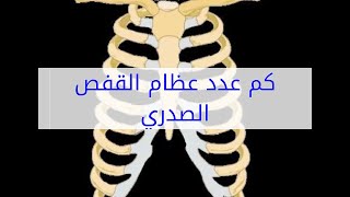 كم عدد عظام القفص الصدري