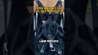 나일론 하나로 명품 반열? 프라다의 신의 한 수 #패션브랜드 #트렌드 #fashion #prada #프라다가방