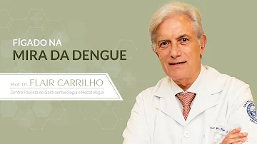 O que acontece com o fígado quando está com dengue?