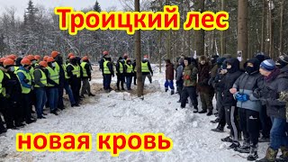 Троицкий лес. Противостояние.