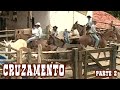 Como funciona o cruzamento do Muar - Parte 2