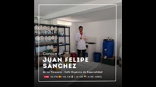 SUSTENTABLE, ORGÁNICO y CAMPEÓN así es el café de Veranera Orgánica