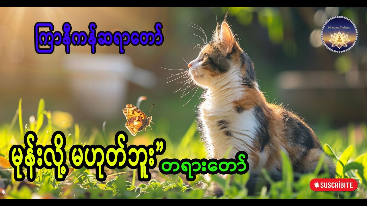 မုန်းလို့ မဟုတ်ဘူး 