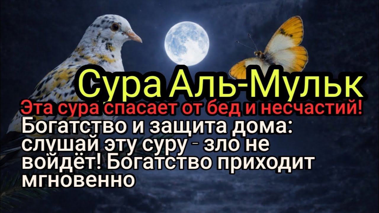 Богатство без усилий: сила этой суры приносит баракат!