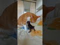 Обалдеть!