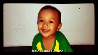 Story wa suara hewan