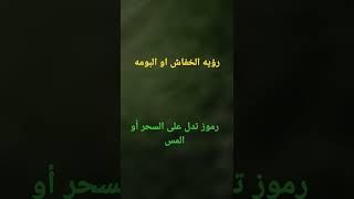 رؤيه الخفاش أو البومه رموز تدل على السحر أو المس