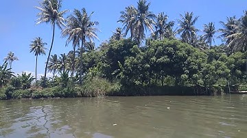 Tanjung Burung