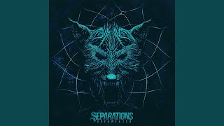 Video thumbnail of "Separations - The Starving"