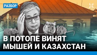 Орск и Оренбург тонут: власти винят мышей и Казахстан. Эколог Евгений СИМОНОВ о причинах катастрофы