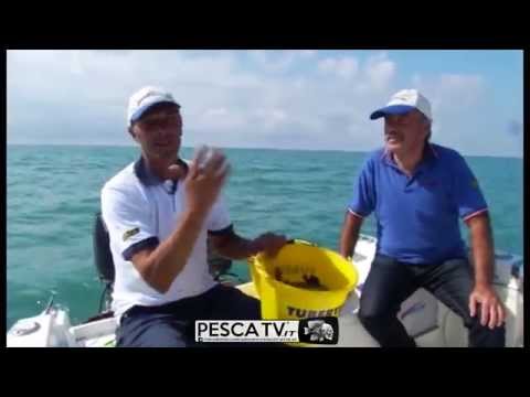 polpara pesca polpara pesca