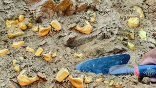 wow so lucky! Finding Gold Nuggets at Mountain worth Million Dollar