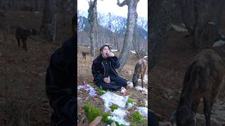 For Order Whatsapp 0321-4152437