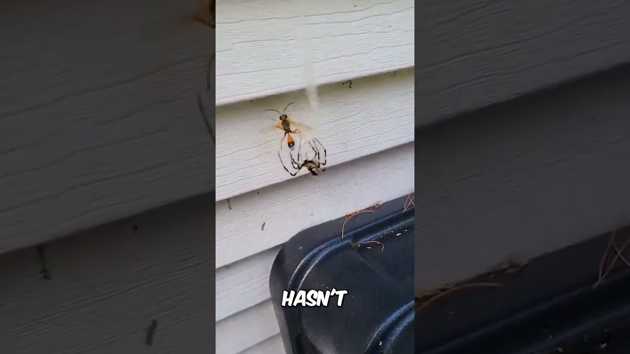 Nature S PEST Control