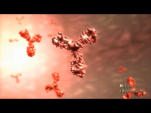 Video: Le Cellule CAR-T Bispecifiche CD19 / CD22 Aploidentiche Hanno Indotto Remissione MRD-negativa In Un Paziente Con B-ALL Adulto Recidivato E Refrattario Dopo Trapianto Di Cellule Sta