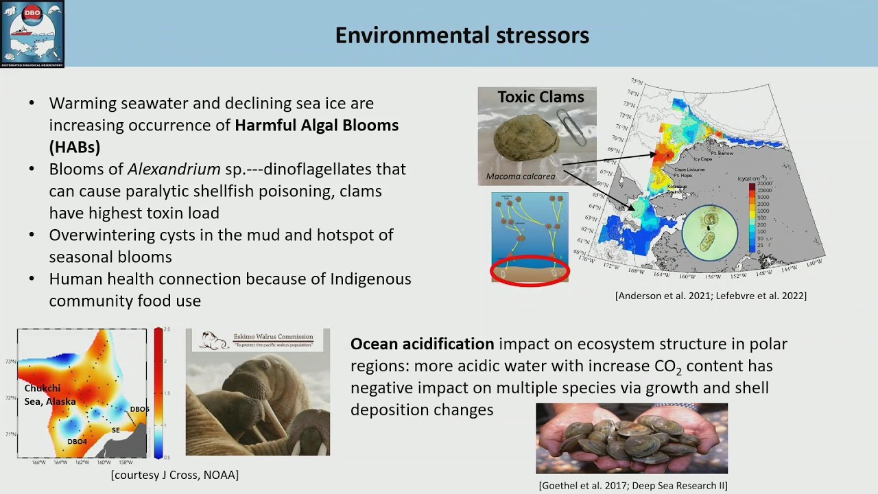 Science: Maintaining and developing observing capabilities. Part 1