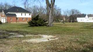 Yorkfield School Location Elmhurst Illinois