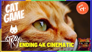 STRAY - Ending last minutes - CAT Scenes Cinematic 4K
