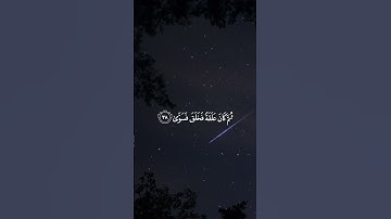 ﴿أَيَحسَبُ الإِنسانُ أَن يُترَكَ سُدًى ۝ أَلَم يَكُ نُطفَةً مِن مَنِيٍّ يُمنى﴾ القارئ: شريف عفيفي