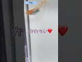 僕はメダカ飼育が趣味のただの40代のおじさん #メダカ