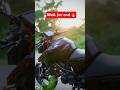Boys dream bike Ktm 🔥😱 #travel #ktmduke390ktm #duke #viral #shorts #youtubeshorts #ktm #viralposts