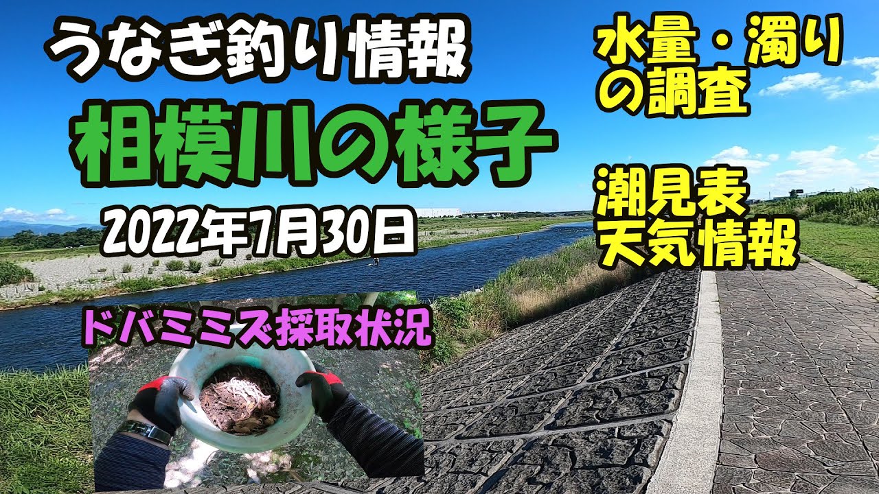 うなぎ釣り情報 相模川の様子22年7月30日土曜日 最新 全国人気釣りyoutube動画まとめサイト