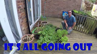 Its all going out by Wayne's Allotment 225 views 11 months ago 30 minutes