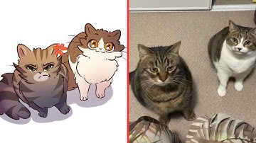 This Is What Happens When Two Cats Share One Braincell 😂